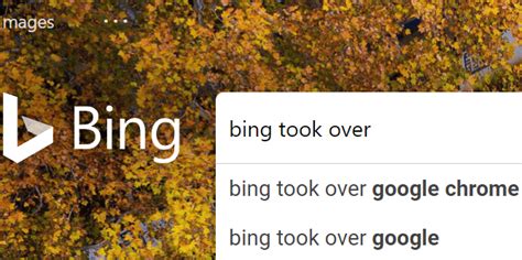 why is bing my search.